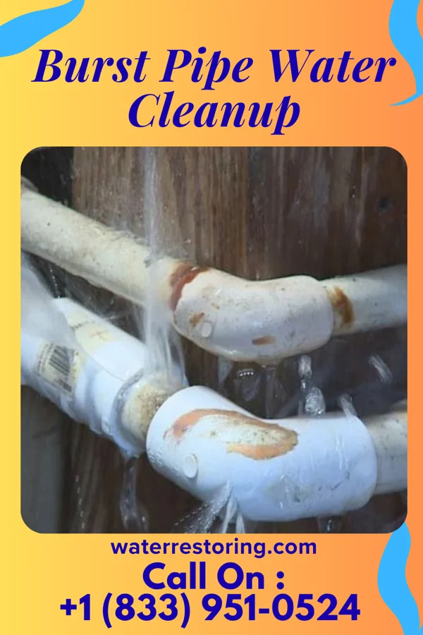 Burst Pipe Water Cleanup in Adams, TN