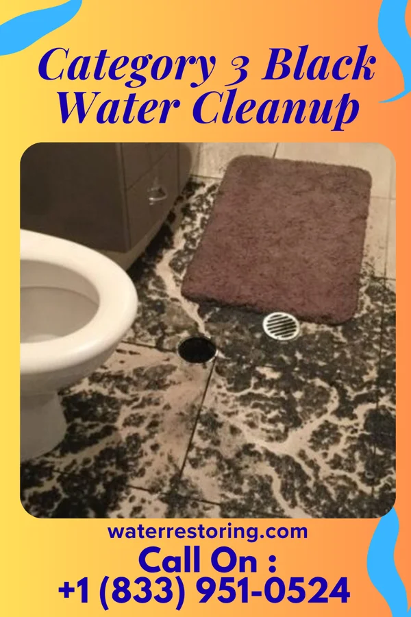 Category 3 Black Water Cleanup in Adams, TN