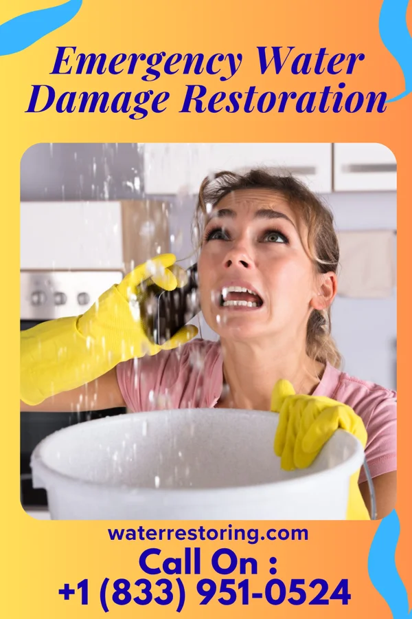 Emergency Water Damage Restoration in Adams, TN