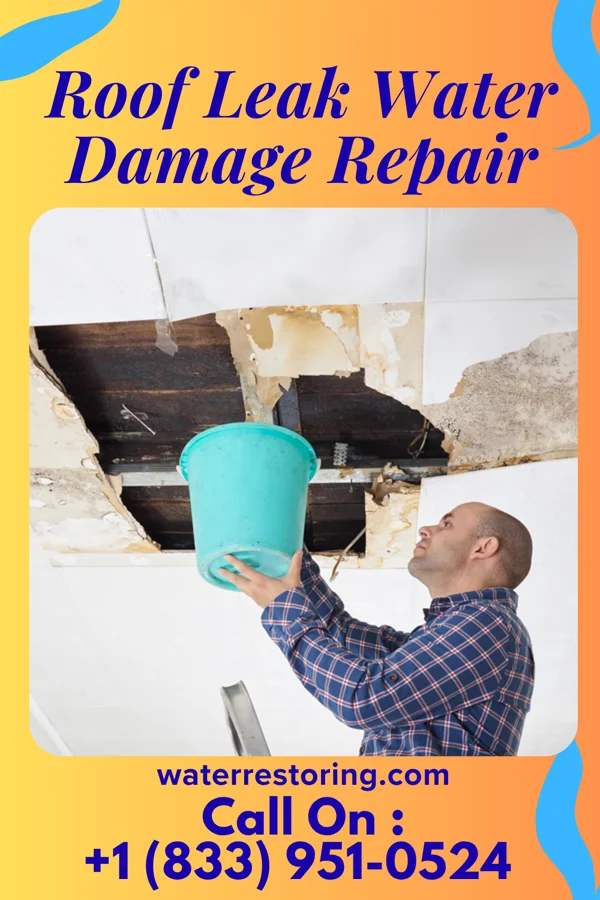 Roof Leak Water Damage Repair in Adams, TN